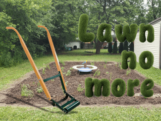 Cover for raingarden article 11/25