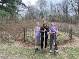 Tree town urban forest team