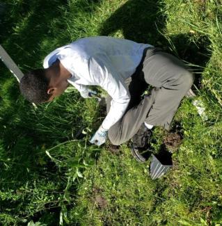 Volunteers installing the rain garden plants