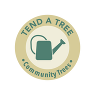 Community Trees Pilot Project - Tend a tree