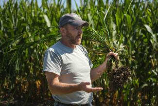 technician holding plant with roots