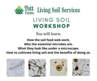living soil workshop flier