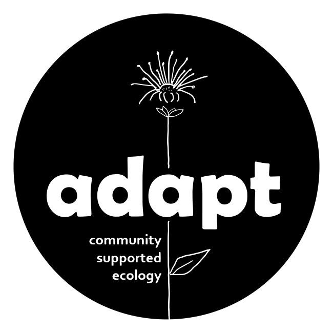 Adapt Community Supported Ecology Logo