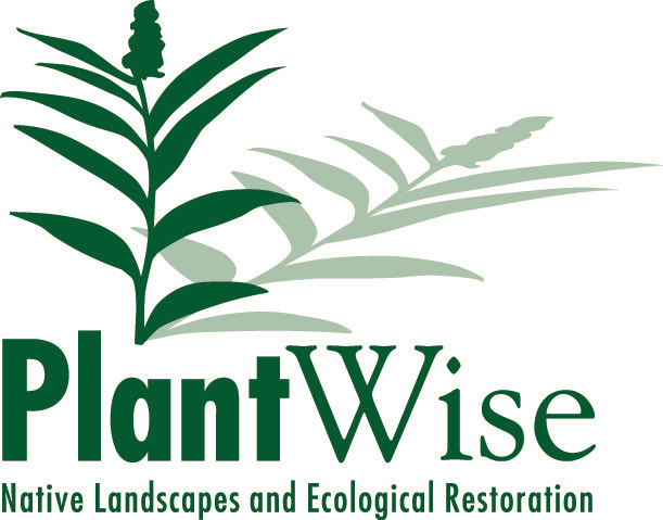 Plant Wise Logo