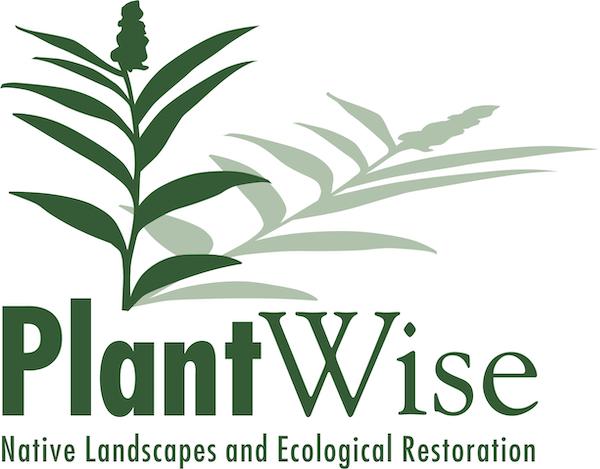 plant wise logo