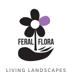 Feral Flora Nursery - living landscapes - logo