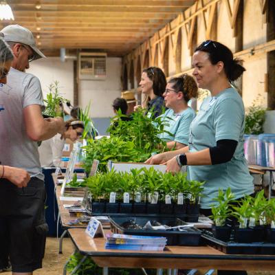 Native Plant Sale - Volunteers and attendees at Milkweed Giveaway table