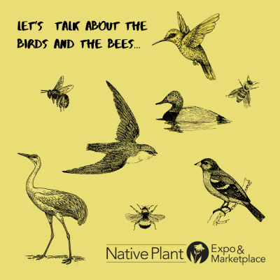 shirt graphics with birds and bees