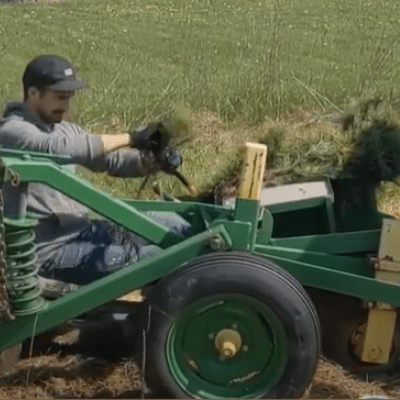 Person sitting on transplanter while planting white pine seedlings